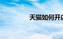 天猫如何开店(天猫开店)