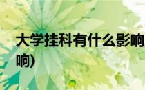 大学挂科有什么影响(西南大学挂科有什么影响)