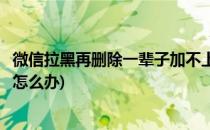 微信拉黑再删除一辈子加不上(微信拉黑再删除一辈子加不上怎么办)