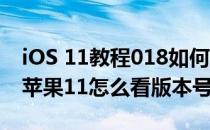 iOS 11教程018如何查看苹果手机的版本号(苹果11怎么看版本号)