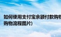 如何使用支付宝余额付款购物流程(如何使用支付宝余额付款购物流程图片)