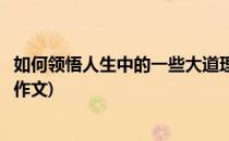 如何领悟人生中的一些大道理(如何领悟人生中的一些大道理作文)