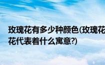 玫瑰花有多少种颜色(玫瑰花有多少种颜色?每个颜色的玫瑰花代表着什么寓意?)