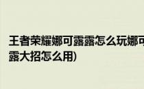 王者荣耀娜可露露怎么玩娜可露露技能连招(王者荣耀娜可露露大招怎么用)