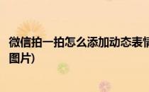 微信拍一拍怎么添加动态表情(微信拍一拍怎么添加动态表情图片)