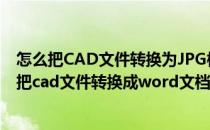 怎么把CAD文件转换为JPG格式方便插入WORD文档(怎么把cad文件转换成word文档)
