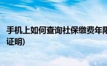 手机上如何查询社保缴费年限(手机上如何查询社保缴费年限证明)