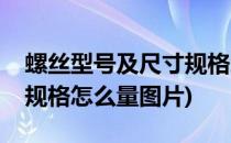 螺丝型号及尺寸规格怎么量(螺丝型号及尺寸规格怎么量图片)