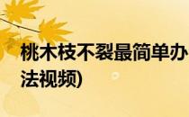 桃木枝不裂最简单办法(桃木枝不裂最简单办法视频)