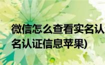 微信怎么查看实名认证信息(微信怎么查看实名认证信息苹果)