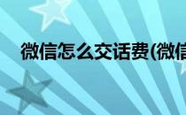 微信怎么交话费(微信怎么交话费交10元)