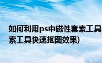 如何利用ps中磁性套索工具快速抠图(如何利用ps中磁性套索工具快速抠图效果)