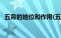五育的地位和作用(五育的地位和作用不同)