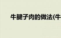 牛腱子肉的做法(牛腱子肉的做法视频)