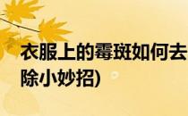 衣服上的霉斑如何去除(衣服上的霉斑如何去除小妙招)