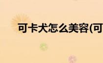可卡犬怎么美容(可卡犬怎么美容养护)