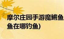 摩尔庄园手游魔鳉鱼在哪里钓(摩尔庄园魔鳉鱼在哪钓鱼)