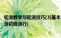 轮滑教学与轮滑技巧[3]基本滑行动作实战(轮滑基础教学-轮滑初级滑行)