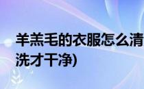 羊羔毛的衣服怎么清洗(羊羔毛的衣服怎么清洗才干净)