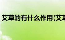 艾草的有什么作用(艾草的有什么作用与功效)