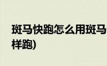斑马快跑怎么用斑马快跑有哪些功能(斑马怎样跑)