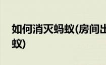 如何消灭蚂蚁(房间出现很多蚂蚁如何消灭蚂蚁)