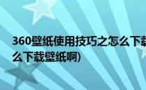 360壁纸使用技巧之怎么下载保存360壁纸图片(360壁纸怎么下载壁纸啊)