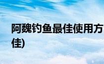 阿魏钓鱼最佳使用方法(用阿魏钓鱼怎么用最佳)