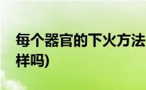 每个器官的下火方法(每个器官的下火方法一样吗)