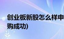创业板新股怎么样申购(创业板新股怎么样申购成功)