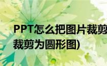 PPT怎么把图片裁剪为圆形(ppt怎么把图片裁剪为圆形图)