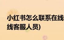 小红书怎么联系在线客服(小红书怎么联系在线客服人员)