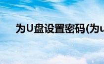 为U盘设置密码(为u盘设置密码怎么弄)