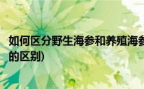 如何区分野生海参和养殖海参(如何区分野生海参和养殖海参的区别)