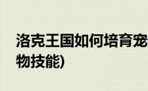 洛克王国如何培育宠物(洛克王国如何培育宠物技能)