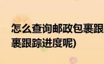 怎么查询邮政包裹跟踪进度(怎么查询邮政包裹跟踪进度呢)