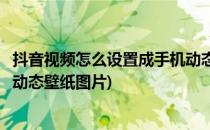 抖音视频怎么设置成手机动态壁纸(抖音视频怎么设置成手机动态壁纸图片)