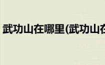 武功山在哪里(武功山在哪里哪个省份哪个市)