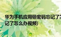 华为手机应用锁密码忘记了怎么办?(华为手机应用锁密码忘记了怎么办视频)