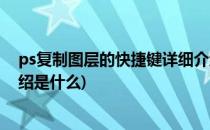 ps复制图层的快捷键详细介绍(ps复制图层的快捷键详细介绍是什么)