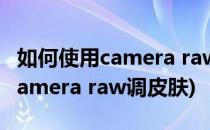 如何使用camera raw 软件进行磨皮(如何用camera raw调皮肤)