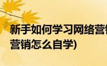 新手如何学习网络营销赚钱赚第一桶金 (网络营销怎么自学)