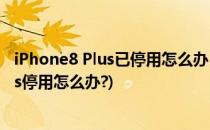 iPhone8 Plus已停用怎么办 苹果6已停用怎么办(苹果六plus停用怎么办?)