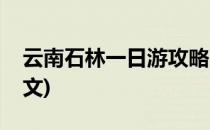 云南石林一日游攻略(云南石林一日游攻略作文)