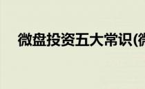 微盘投资五大常识(微盘投资是什么东西)