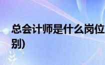 总会计师是什么岗位(总会计师是什么岗位级别)