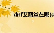 dnf艾丽丝在哪(dnf艾莉丝在哪里)
