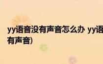 yy语音没有声音怎么办 yy语音不能说话解决方法(YY语音没有声音)