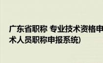 广东省职称 专业技术资格申报系统怎么录入(广东省专业技术人员职称申报系统)