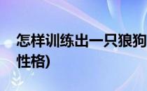 怎样训练出一只狼狗(怎样训练出一只狼狗的性格)